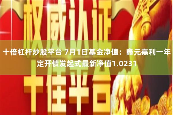 十倍杠杆炒股平台 7月1日基金净值：鑫元嘉利一年定开债发起式最新净值1.0231