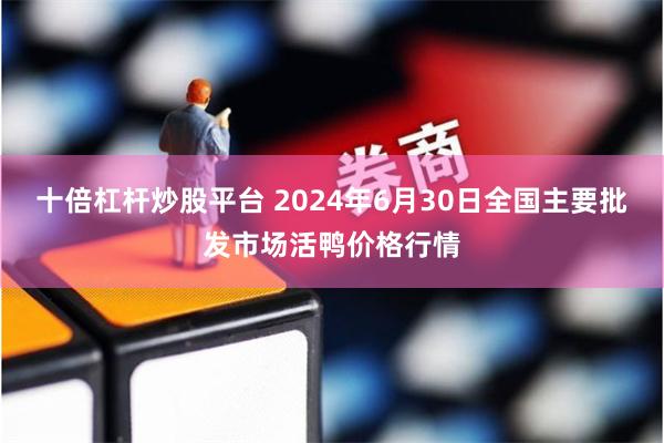 十倍杠杆炒股平台 2024年6月30日全国主要批发市场活鸭价格行情